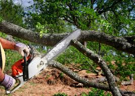 Best Emergency Tree Removal  in Garden City, SC